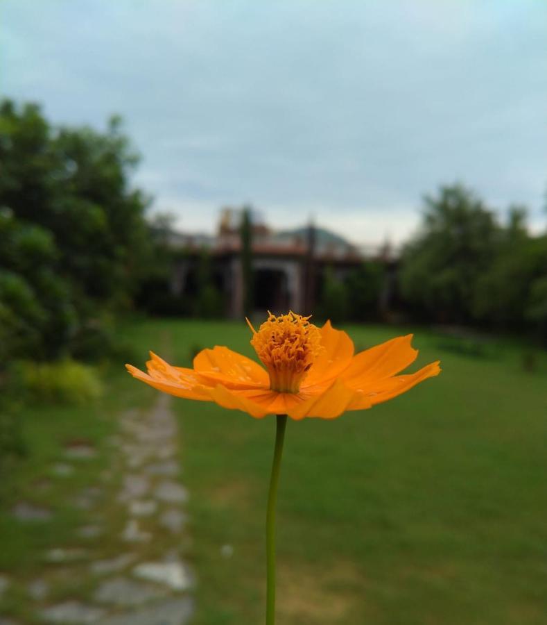 Pushkar Vela Resort Eksteriør billede